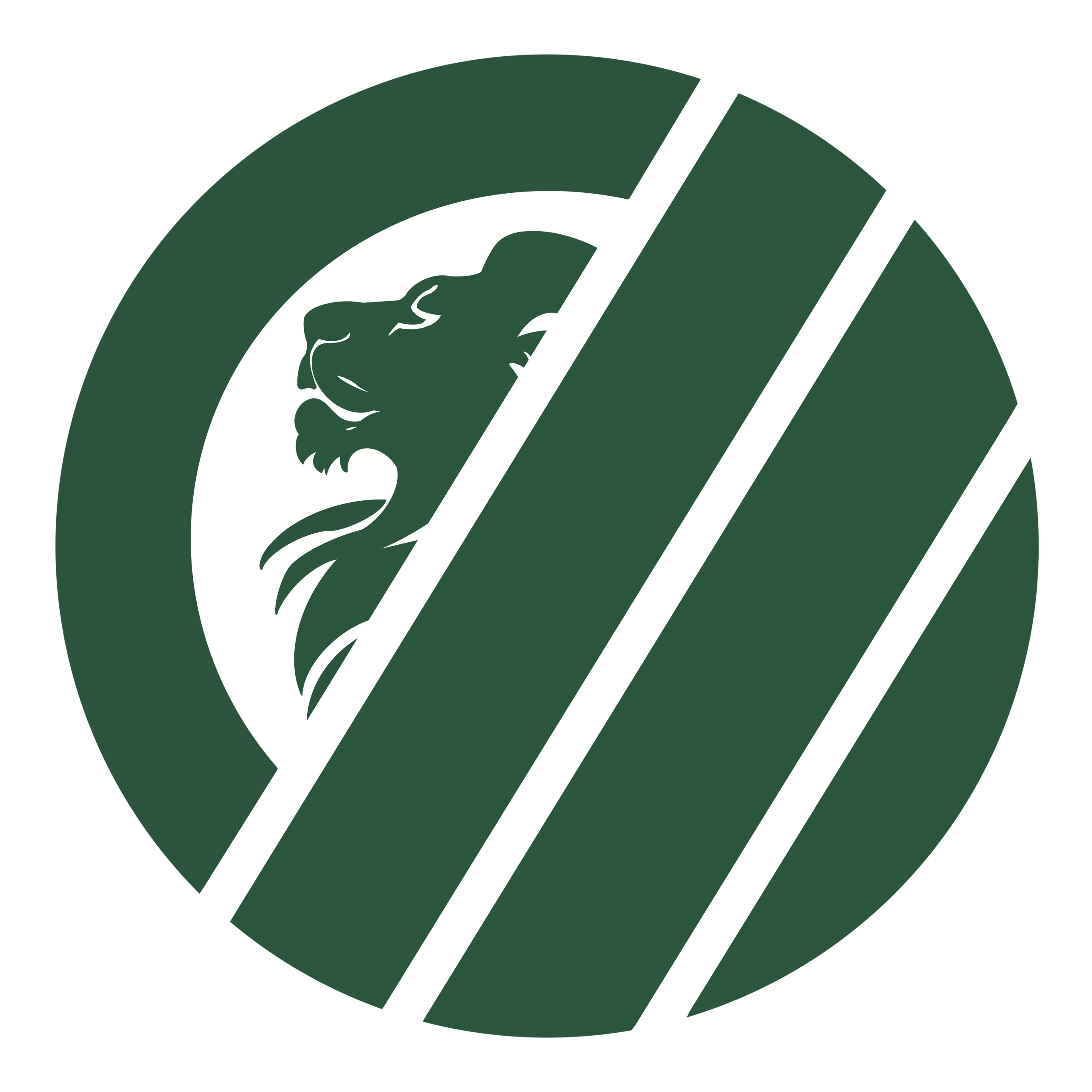 OZP Studio Logo