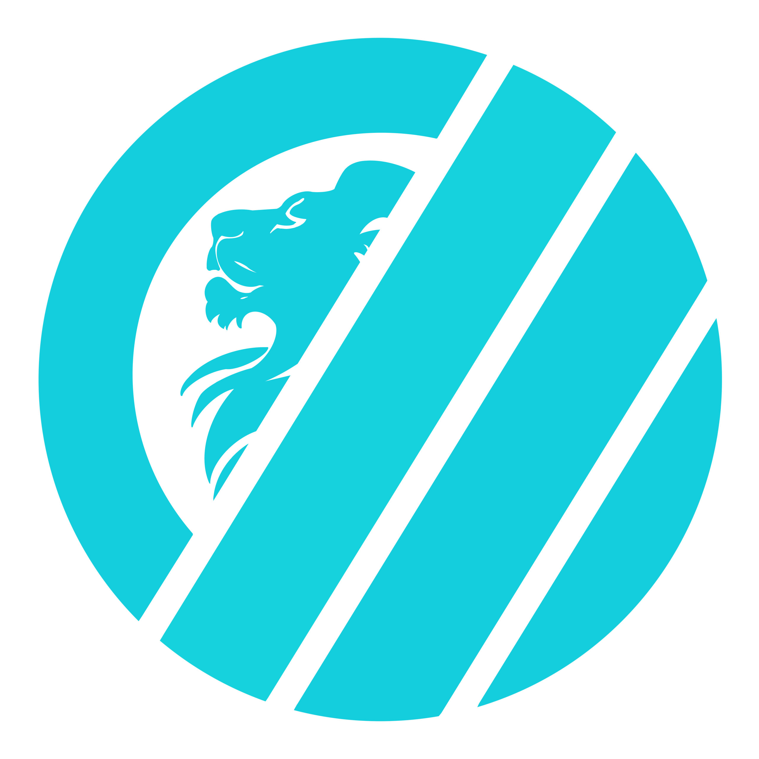 OZP Logo